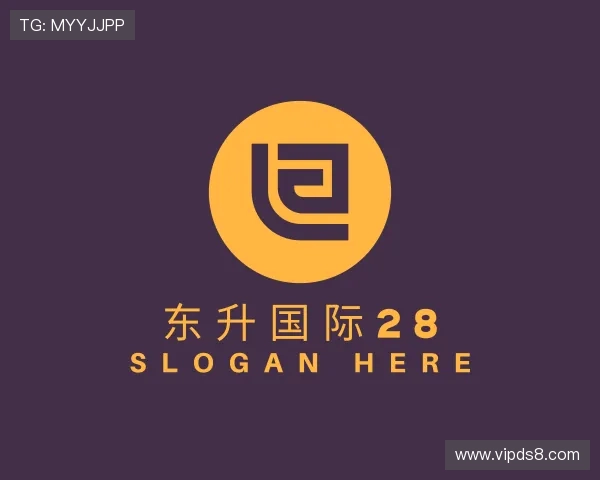 解读东升国际28